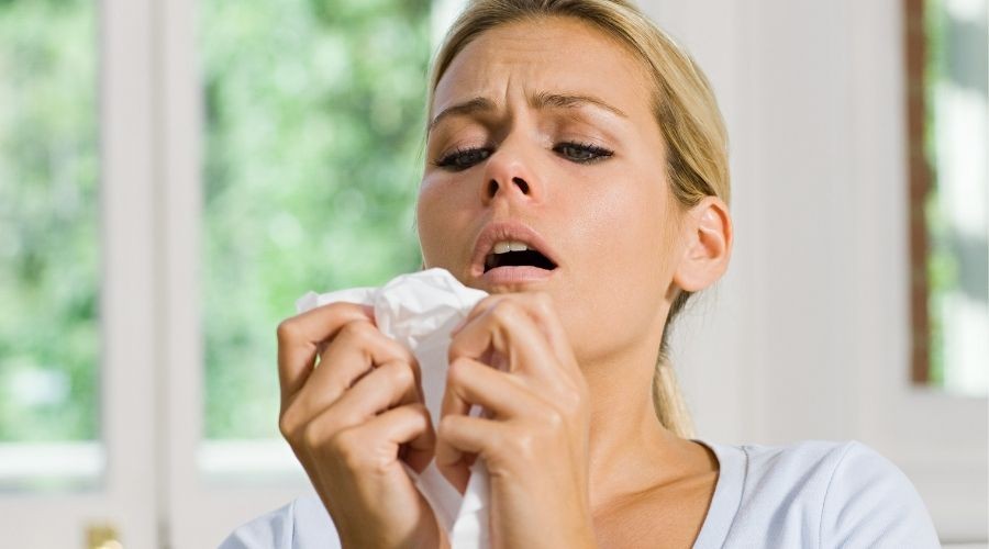 Come Out On Top and Breathe Easy This Allergy Season